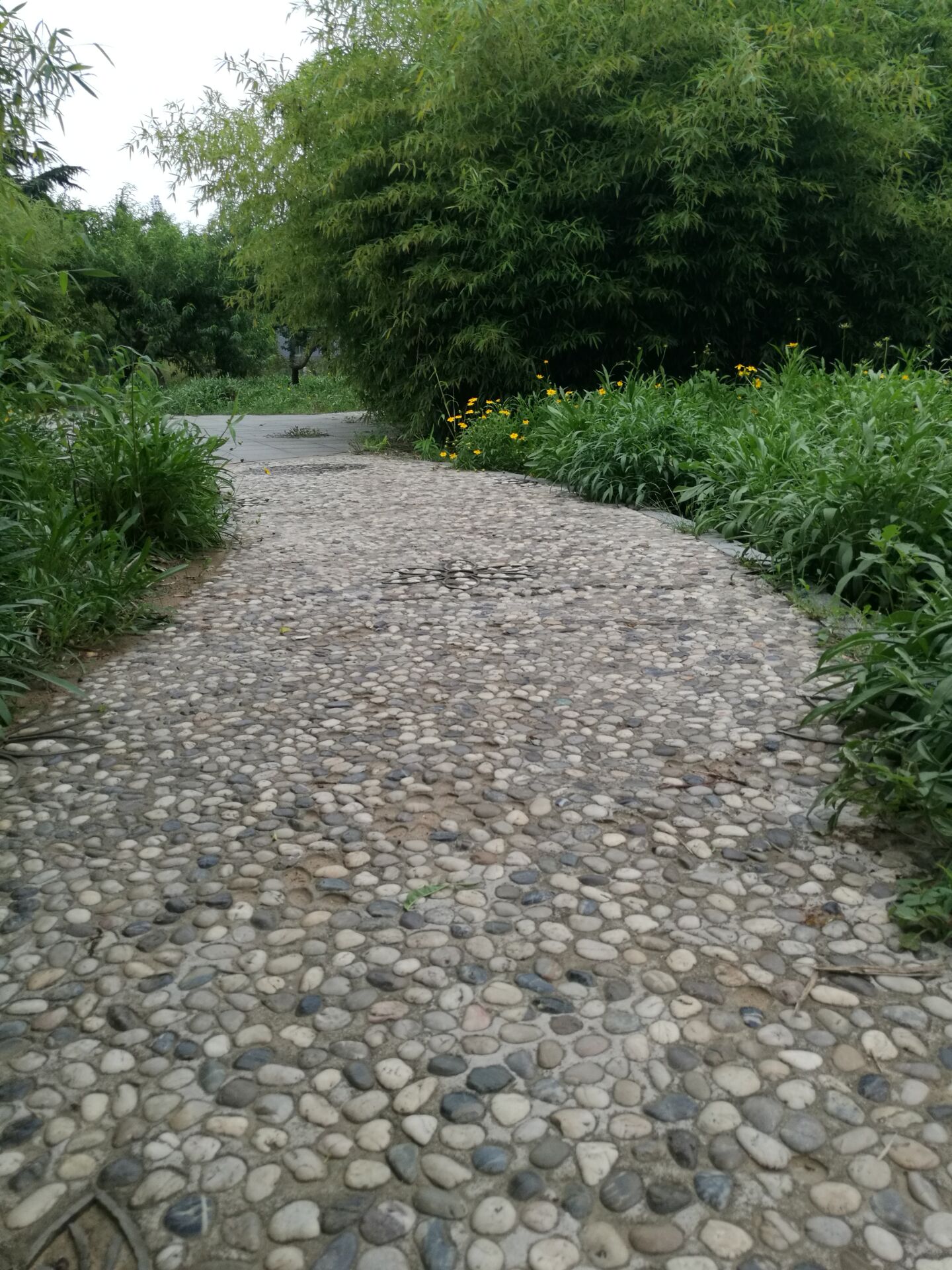 注:临沂书法广场公园的鹅卵石路面的鹅卵石,是由临沂鹅卵石生产基地
